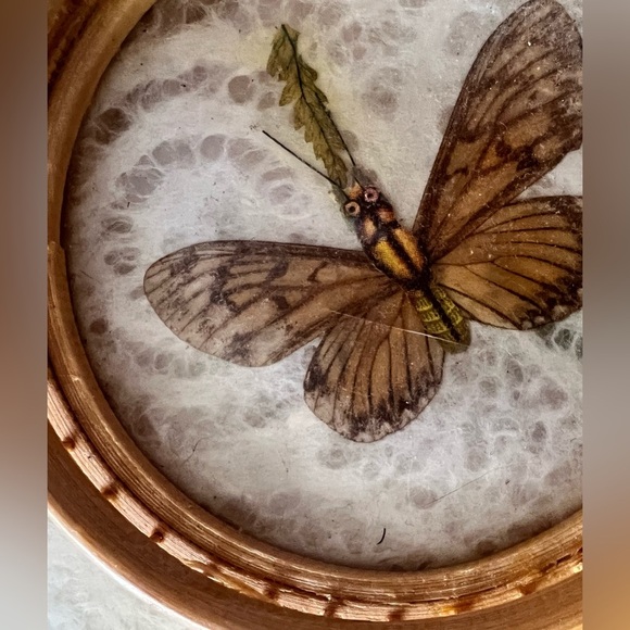 Vintage MCM Round Bamboo Serving Tray Butterfly with  Set of 2 Coasters Taiwan - Picture 4 of 8